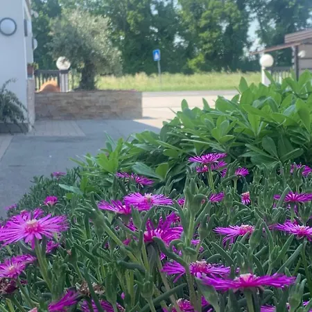 Ai Due Fiumi Bed & Breakfast Fossalon di Grado